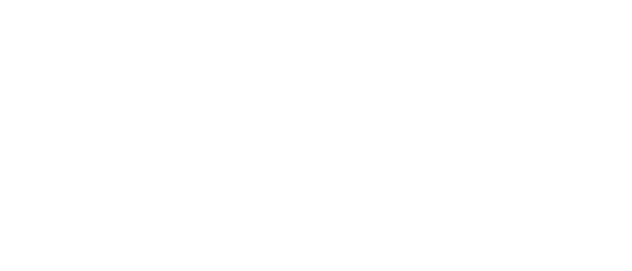 Element Consulting Group LLC